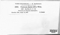 Image Associated With the Occurence
